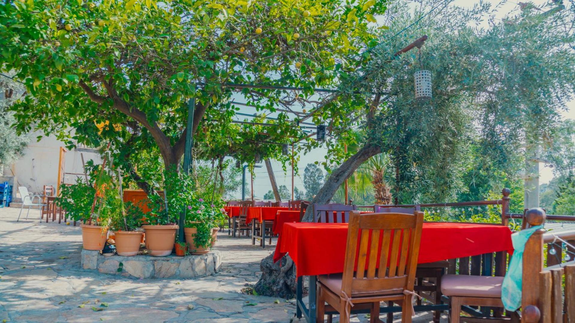St. Nicholas Pension Patara Esterno foto